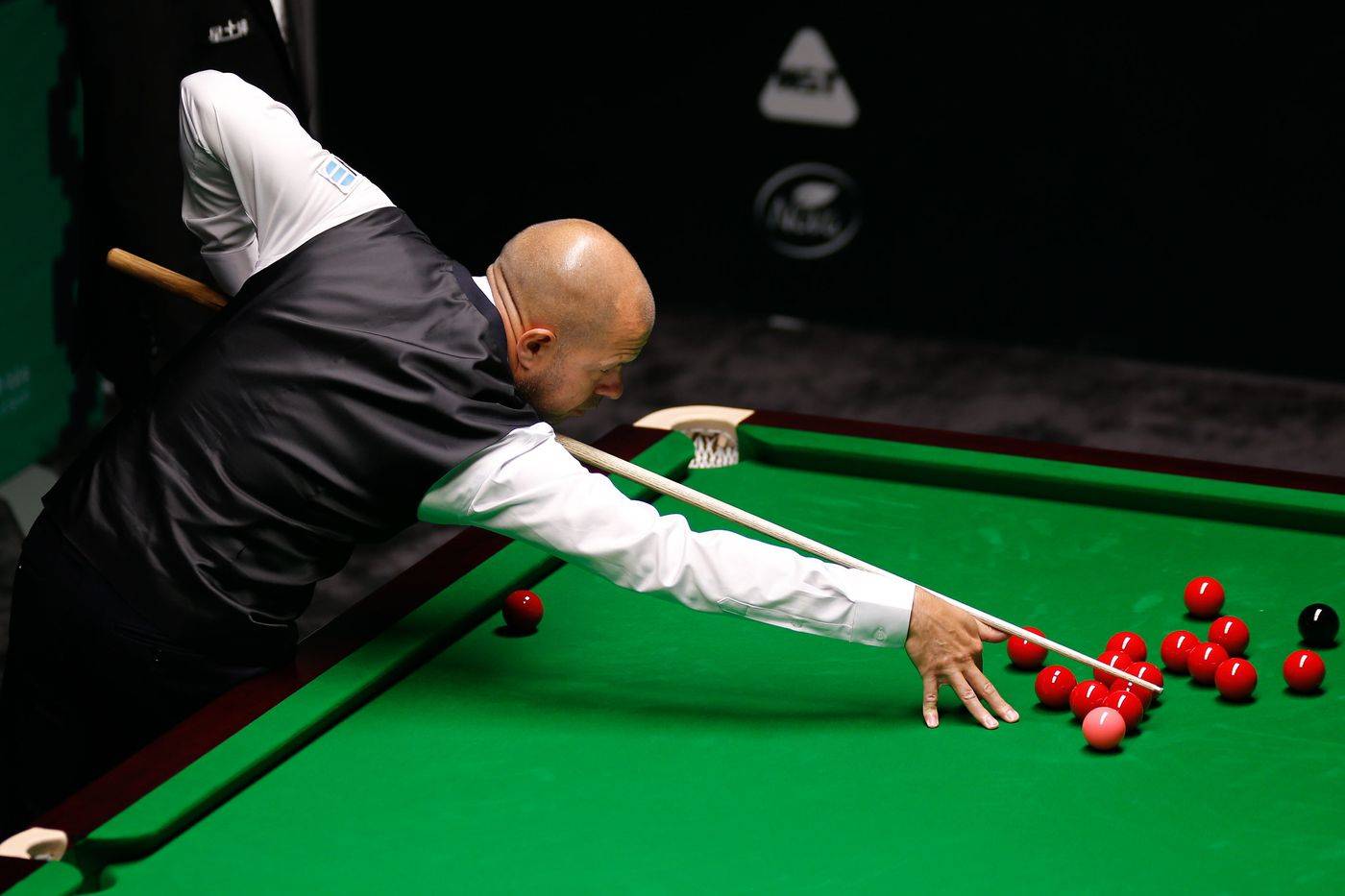 韧不拔的意 韧不拔的意