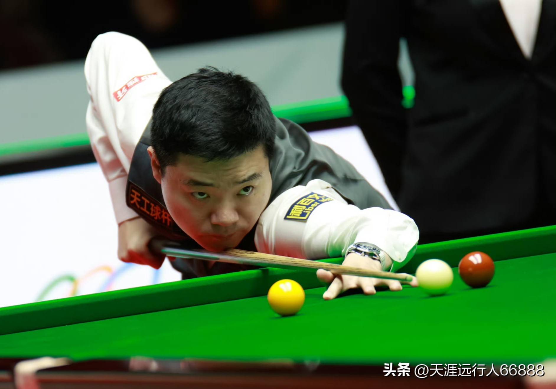 与张伯伦的 与张伯伦的